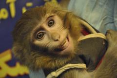 Source: www.csmonitor.com/